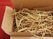 Quel site privilégier pour des machines packaging et conditionnement d’occasion ?