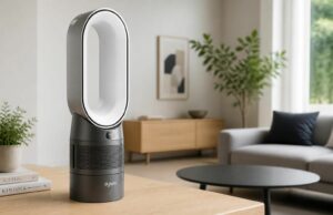 Ventilateur dyson : avis et guide d’achat 2026 pour trouver son ventilo Dyson Découvrez notre avis complet et notre guide d'achat 2026 pour choisir le ventilateur Dyson idéal. Trouvez le modèle parfait alliant performance et design pour un confort optimal.