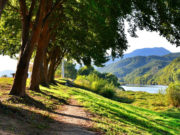 Rejoignez l’Allier, le site web qui vous aide à vous mettre au vert !