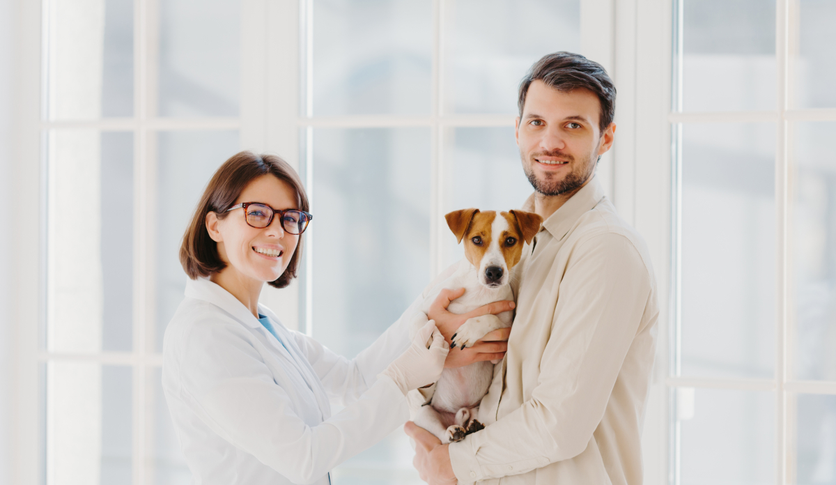 Comment construire et ouvrir son centre vétérinaire à la pointe des