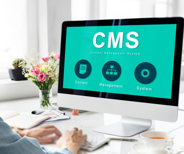 cms wordpress