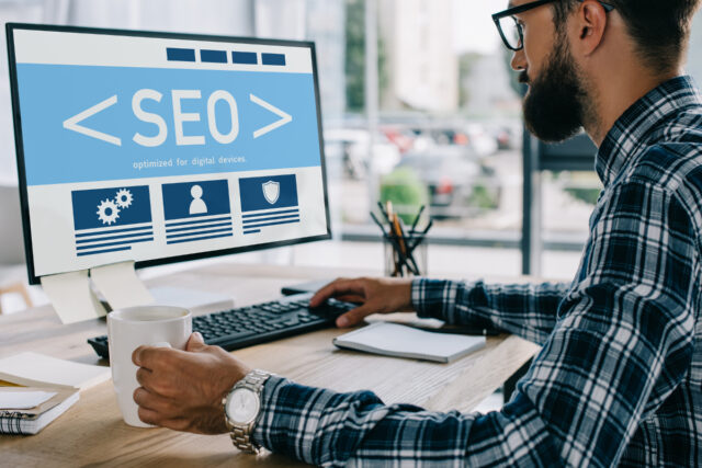 consultant seo consultant seo