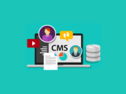 Pourquoi Drupal est-il aussi apprécié par les entreprises ? dupral cms