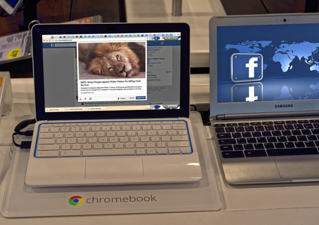 facebook gif facebook gif