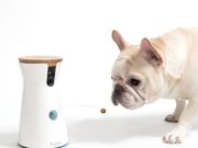 Furbo dog Caméra : le lanceur de friandises pour surveiller un chien