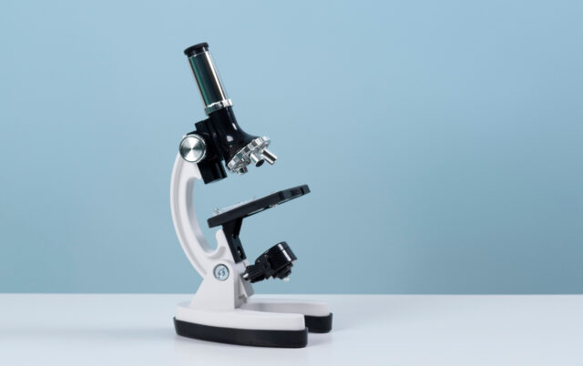 microscopie optique microscopie optique