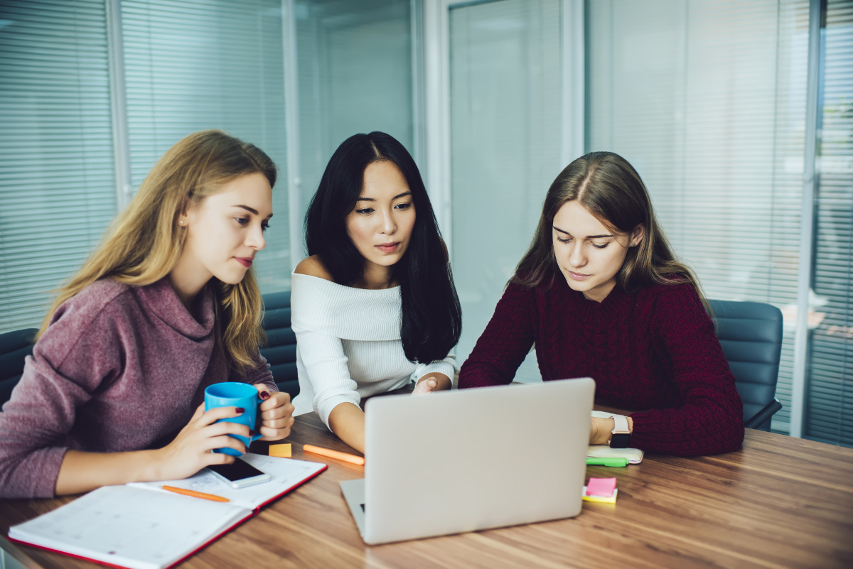 programmes en entrepreneuriat