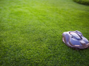 Tondeuse automatique avec ou sans fil : que choisir pour votre jardin ? tondeuse automatique