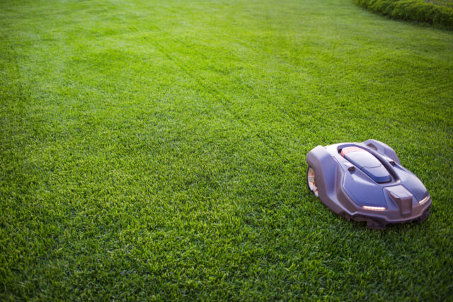 tondeuse automatique